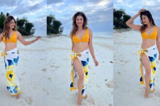 Pooja Batra's Viral Video of Giant Turtles Takes the Internet by Storm